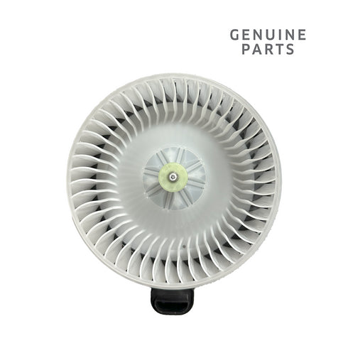 c5cc9ed03b516a81756341d5884f4338